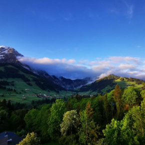 FeWo Fernsicht Crystal Adelboden